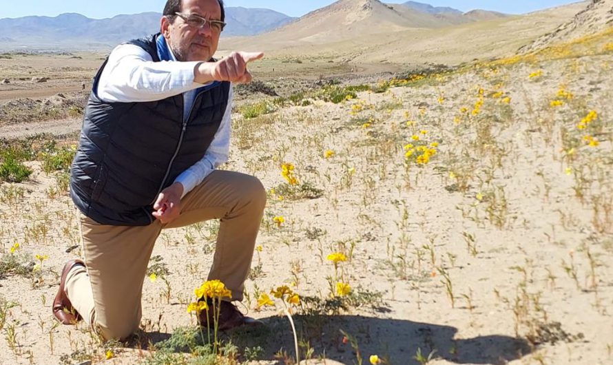 Diputado Mulet valoró creación del Parque Nacional Desierto Florido: “Es una victoria más para nuestra región”