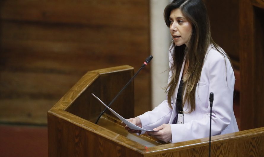 De cara a la cuenta pública y tras aprobarse conclusiones de comisión investigadora, Diputada Cicardini instó al gobierno a capitalizar Enami