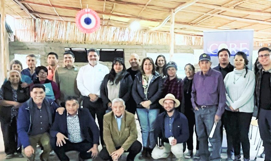 CORES de Atacama realizaron jornada de trabajo en Pinte por el  gran valor que posee