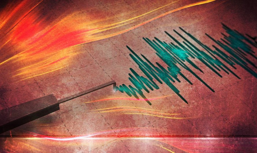 Un fallecido, cortes de luz y más 40 réplicas: el balance del sismo 7,3 que afectó al norte del país