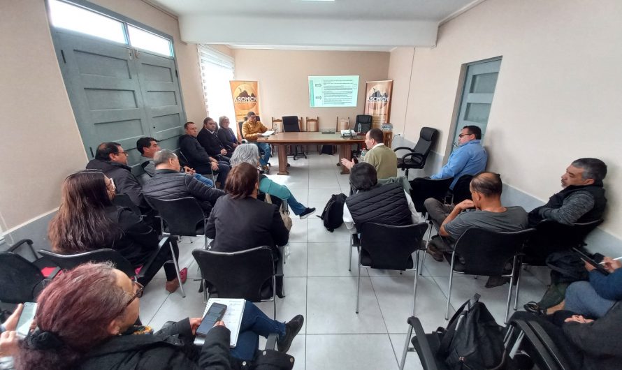 VPE de ENAMI instala mesa de trabajo con productores de Chañaral y El Salado para abordar futuro de Cerro Negro