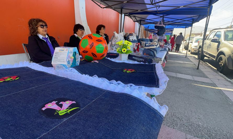 Emprendedoras de Chañaral aprovechan ropa en desuso para confeccionar hermosos diseños